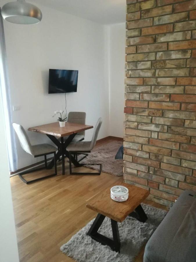 Apartman Luka Lux ズラティボール エクステリア 写真