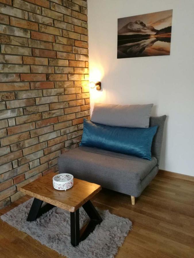 Apartman Luka Lux ズラティボール エクステリア 写真