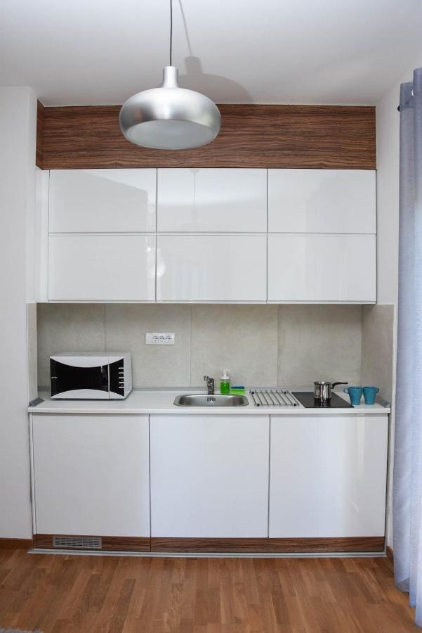 Apartman Luka Lux ズラティボール エクステリア 写真